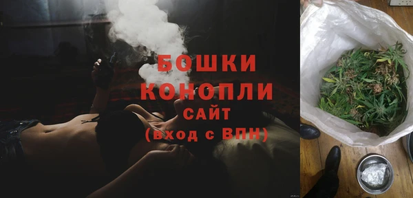 трава Белокуриха