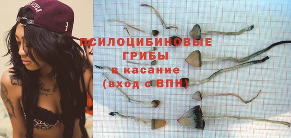 мескалин Балахна